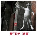 홍팡이네