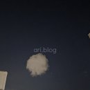 흥진합동두부공장 | [이공이오 타오름달] 돼지런한 나날들 8월 #3