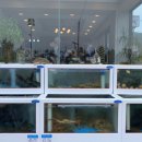 해도지횟집오복미가 이미지