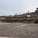 멍스플레이 이미지