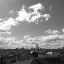 진한자동차공업사 이미지