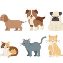 디아크 동물병원 이미지