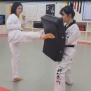 경희대 에이스 태권도 이미지