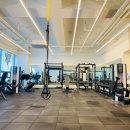 코지앤핏 이미지