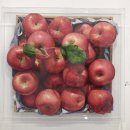 김정후 | 코엑스에서 하는 2025 화랑미술제 다녀왔어요!_2편