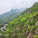 삼성여행사 - 부산진구 | 삼성여행사