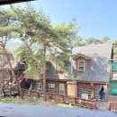 신나로힐링펜션 | 대천해수욕장펜션 보령 아이와 가족여행 통나무리조트펜션 후기