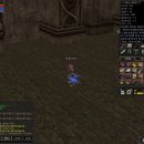 크리니아 이미지