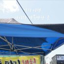 건농장 네이버블로그
