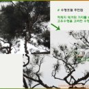 수광고사 이미지