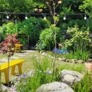 앵지밭골 이미지