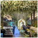 [베뉴투어 후보_2] 셀럽앤어셈 디아이올라홀 강남 건설회관 웨딩홀 투어 후기 주차, 견적, 장단점 등