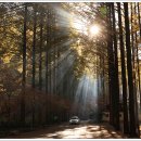 장태산의아침 이미지