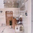 강아지부띠끄