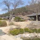 탁청정종택