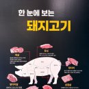 광장숯불갈비 이미지