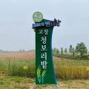 고창엔