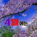 봄꽃 가득 담아 4월의 당신께 축복을 전합니다 이미지