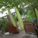 덕천3리 이미지