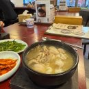 삼가명품한우 | 6월 합천 여행일기 (로우풀 카페, 합천삼가명품한우)