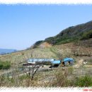 남양목장 이미지