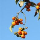 마천면사무소 이미지