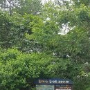 매곡천 자전거길 이미지