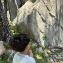 🙏 기도하게 되는 길, 월악산 덕주사 마애불 코스 트래킹 후기🧘‍♂️🍃