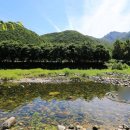 수산리공중화장실 | 충북 제천 계곡 노지캠핑, 물놀이 장소, 캠핑장