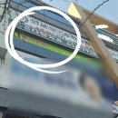 다담치과의원 네이버블로그