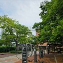 용답꽃공원 이미지