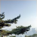 서호공원 이미지