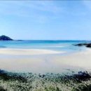 불란지스테이 이미지