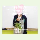 하망동 행복주민센터 | 원예수업 장애인원예수업 식물심기 초등원예 중학생원예 인천소재 주민센터