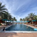 푸른 식물병원 | 나트랑 래디슨블루 리조트 수영장 주니어스위트룸 이그제큐티브 라운지 이용 후기