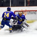 (개인)전정우 이미지