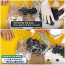 레드머스캣
