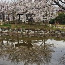 국원고등학교 이미지