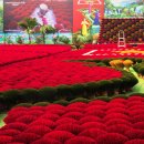 향촌마을 이미지