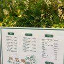 육오감