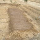 아랑농장 이미지