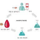 ㈜담도 티스토리
