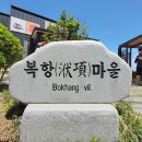 맹종죽테마파크1 이미지