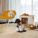 (주)월드펫 이미지