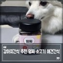 멍찌 | 강아지간식 추천 멍찌 소고기 애견간식 유산균함유라 더 좋아