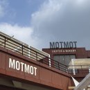 모토탑 | 춘천 대형카페 추천 수영장이 있는 카페 모토모토