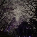 호두데이 이미지