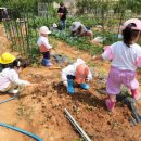 시흥-목감-시흥-007 이미지