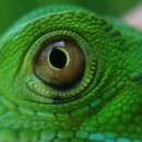 경북야생동물구조관리센터 이미지