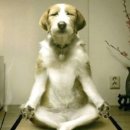 제이헤어스토리미용실 이미지